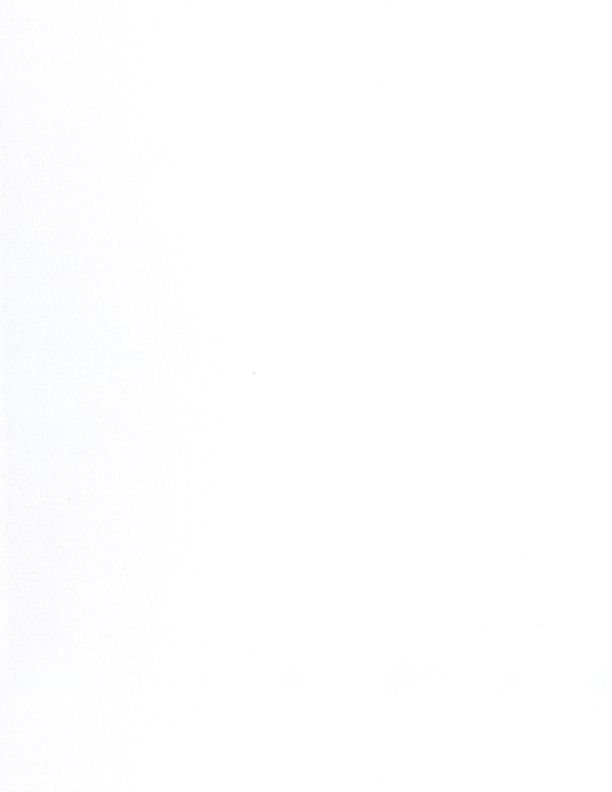 Essential Solid White - Wilmington prints