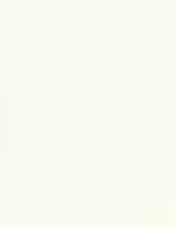 Essential Solid Cream - Wilmington prints
