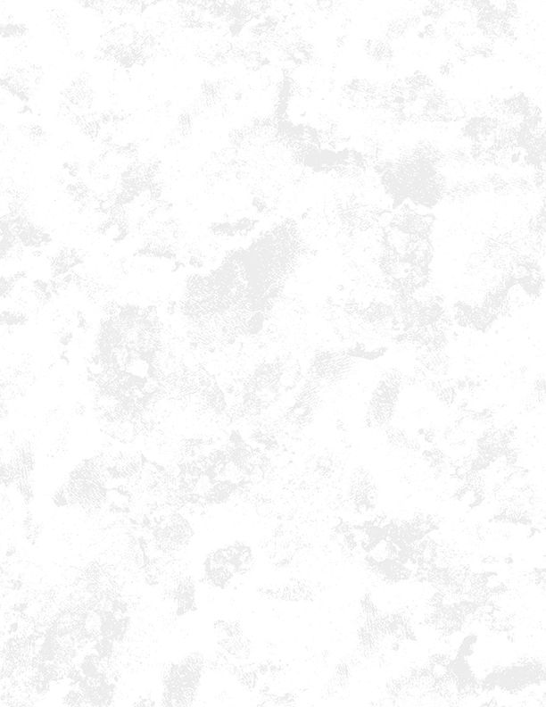 108" Haze White on White - Wilmington Prints