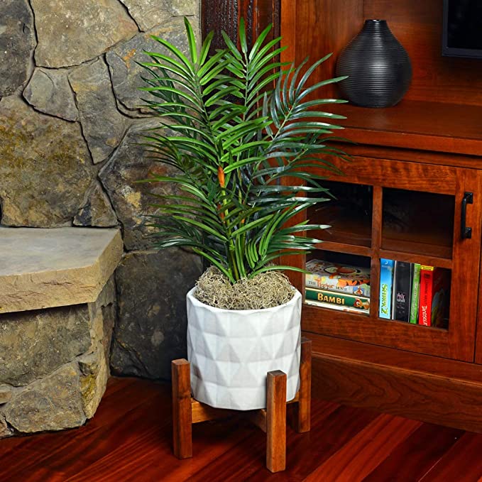 Mosser Lee Spanish Moss, 250 Cubic Inches