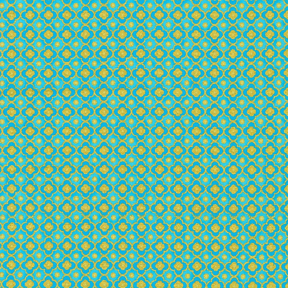 Aqua by Parvaneh Holloway - Robert Kaufman