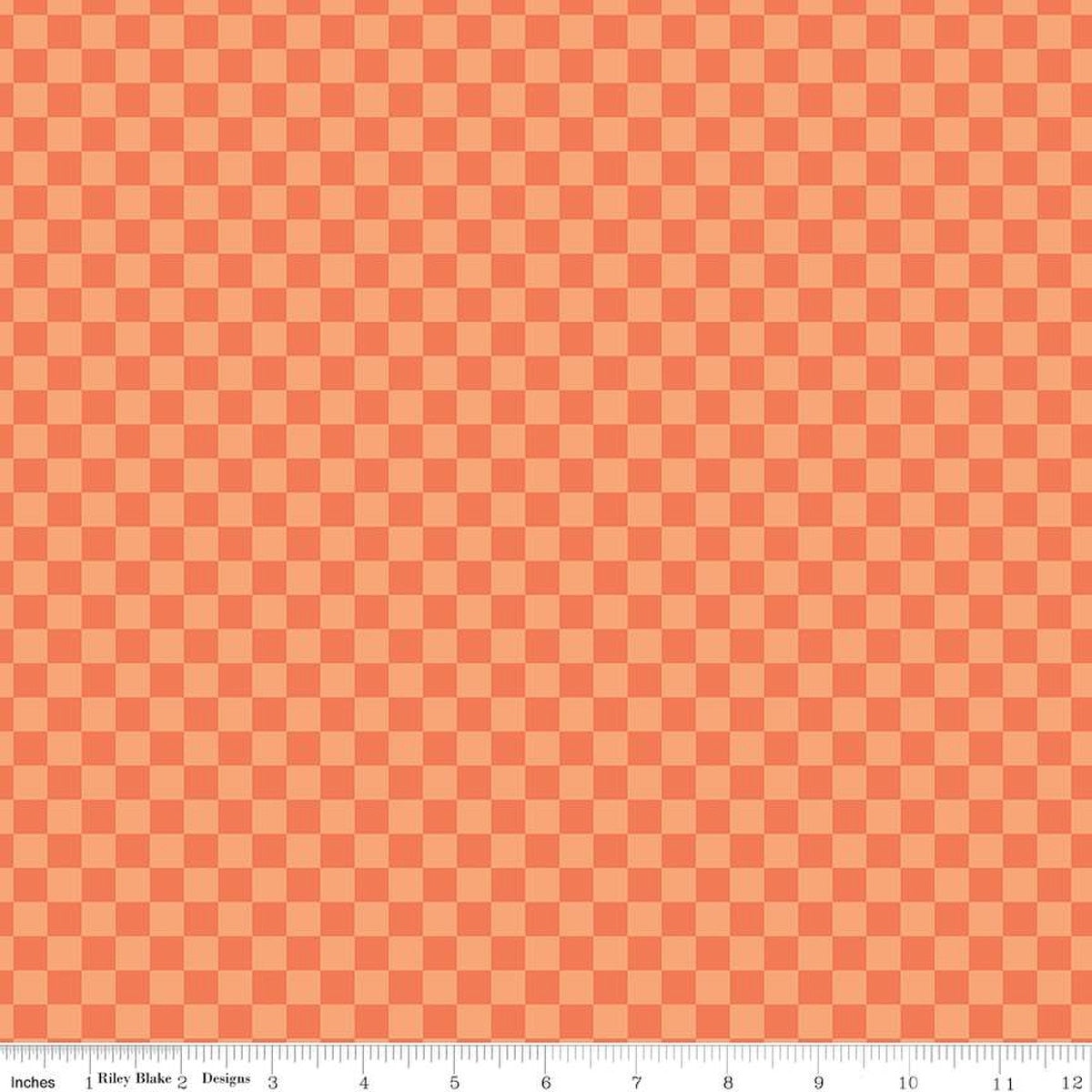 Hey Pumpkin Checks Orange - Riley Blake Designs