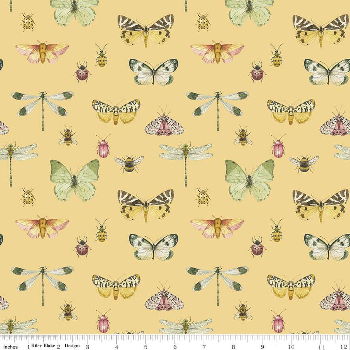 Love Me More Flutter Yellow - Riley Blake Designs