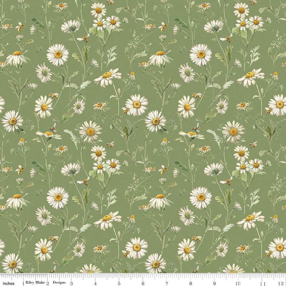 Love Me More Daisies Green - Riley Blake Designs