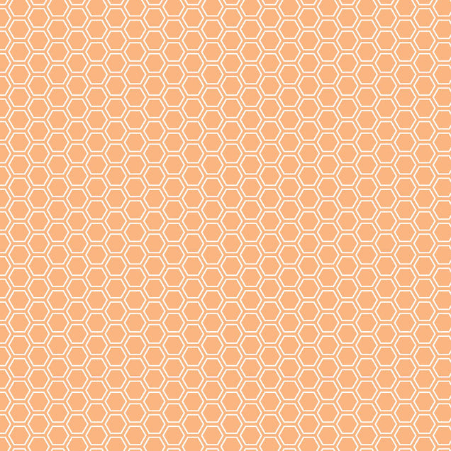 Orange Honeycomb - Kimberbell Basics / Maywood Studio