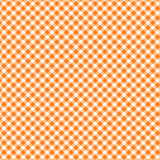 Playtime Flannel Bias Gingham - Maywood Studio