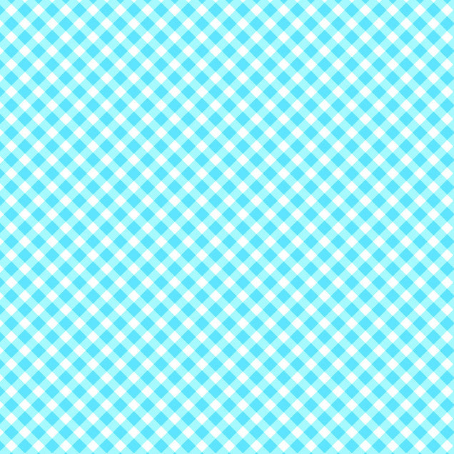 Playtime Flannel Bias Gingham - Maywood Studio