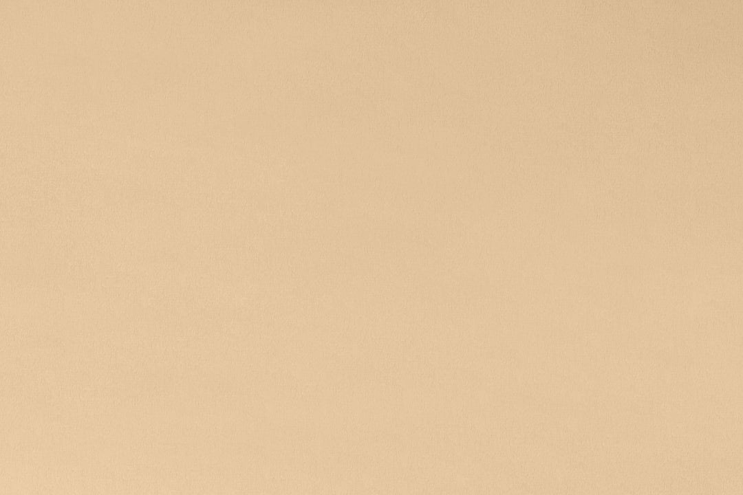 Extra Wide Solid Cuddle 3® Latte - Shannon Fabrics