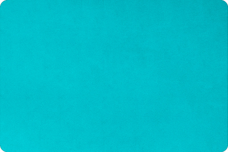 Shannon Fabrics Extra Wide Solid Cuddle 3® Belize