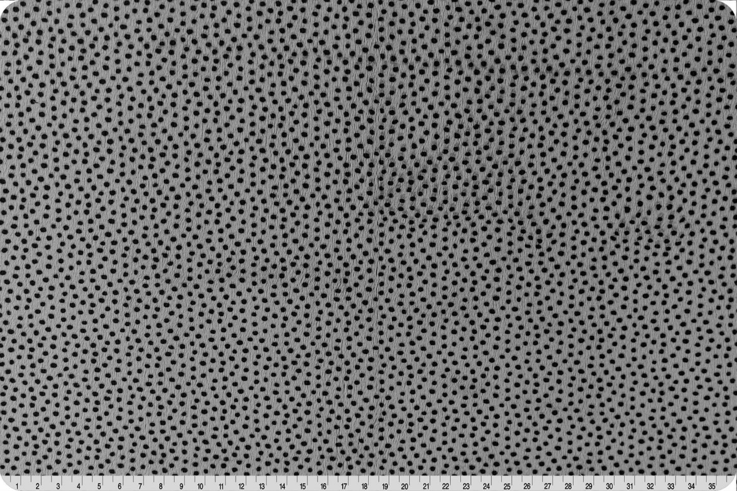 Extra Wide Dottie Cuddle® Charcoal - Shannon Fabrics