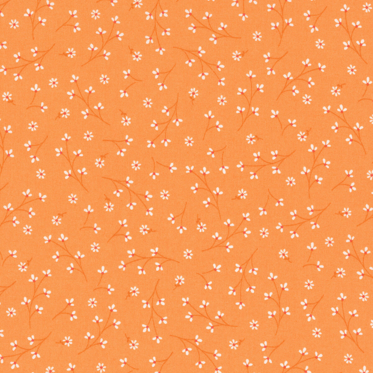 Pretty Petals Orange - Kimberbell Basics / Maywood Studio