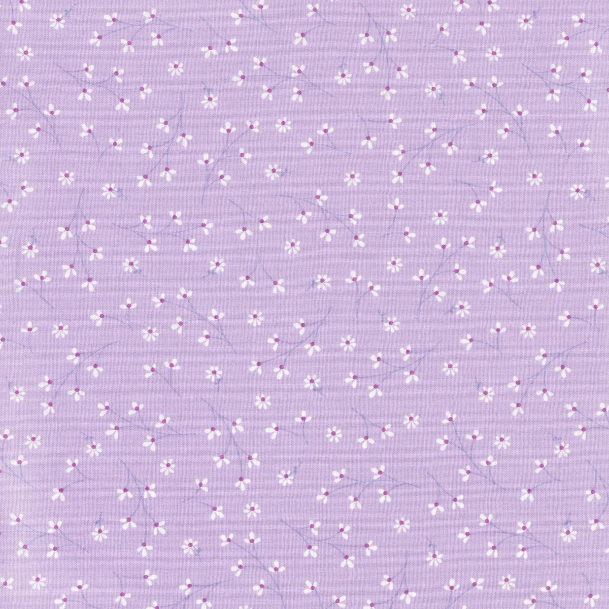 Pretty Petals Violet - Kimberbell Basics / Maywood Studio