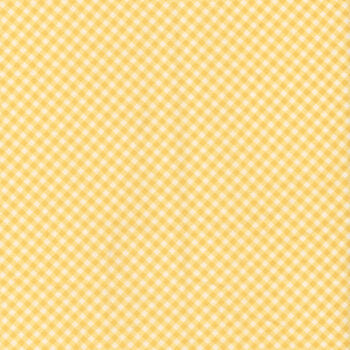 Playtime Flannel Bias Gingham - Maywood Studio