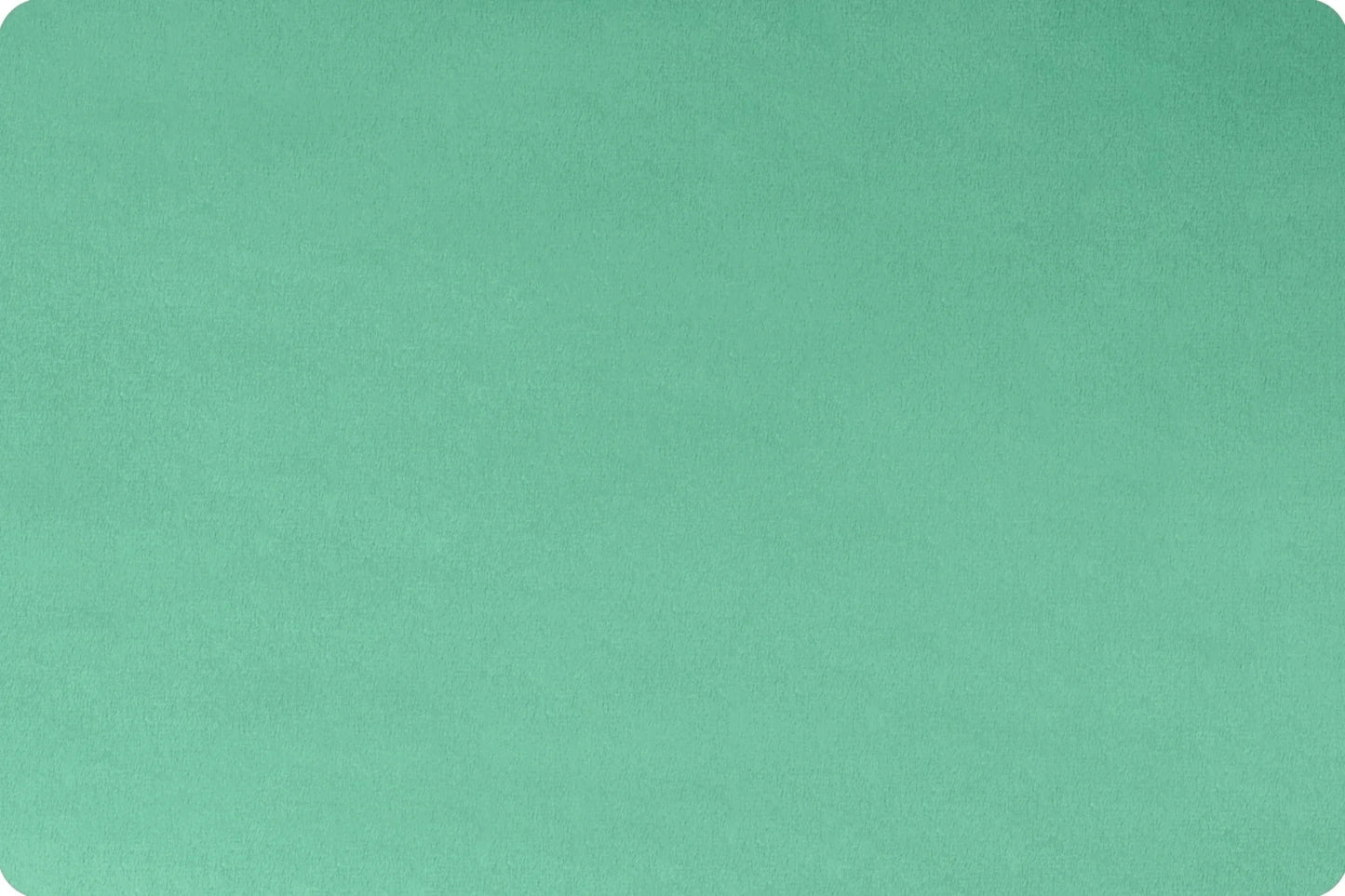 Extra Wide Solid Cuddle 3® Spearmint - Shannon Fabrics
