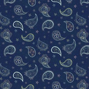 Wilmington Prints Blissful Paisley Contour Navy 27648-473