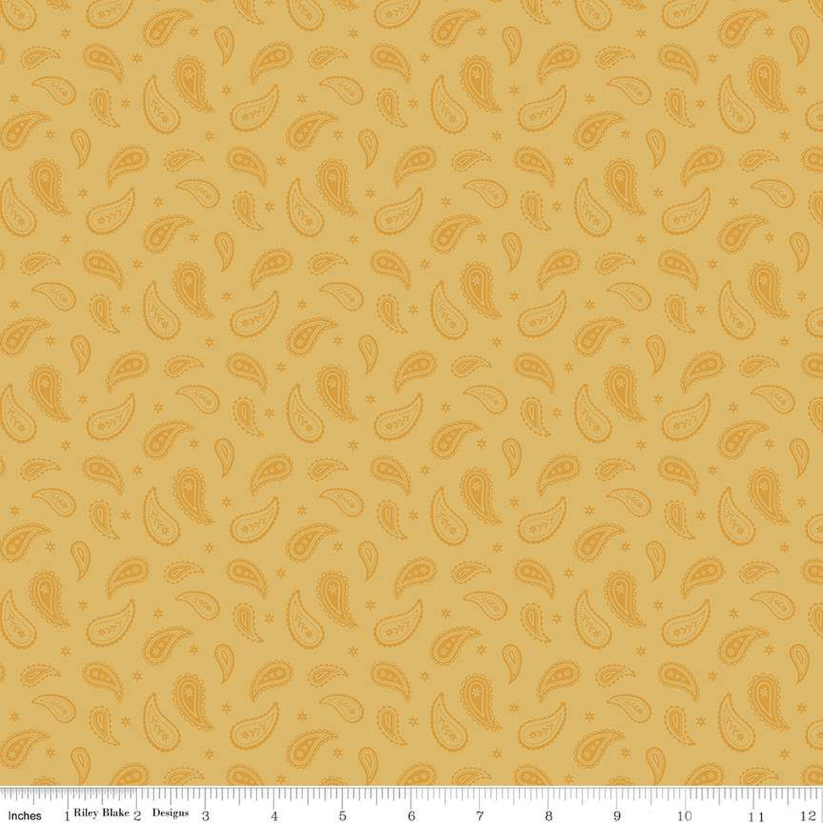 Ally's Garden Paisley Daisy by Riley Blake - Sold by the 1/4yd