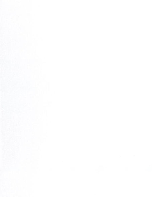 Essential Solid White - Wilmington prints