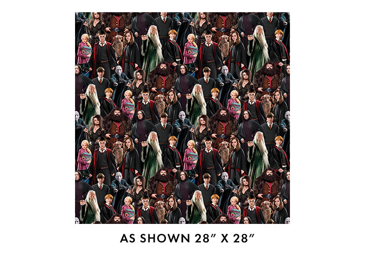 Harry Potter Characters Multi 108" - Benartex Fabrics