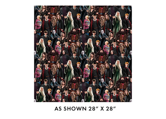 Harry Potter Characters Multi 108" - Benartex Fabrics