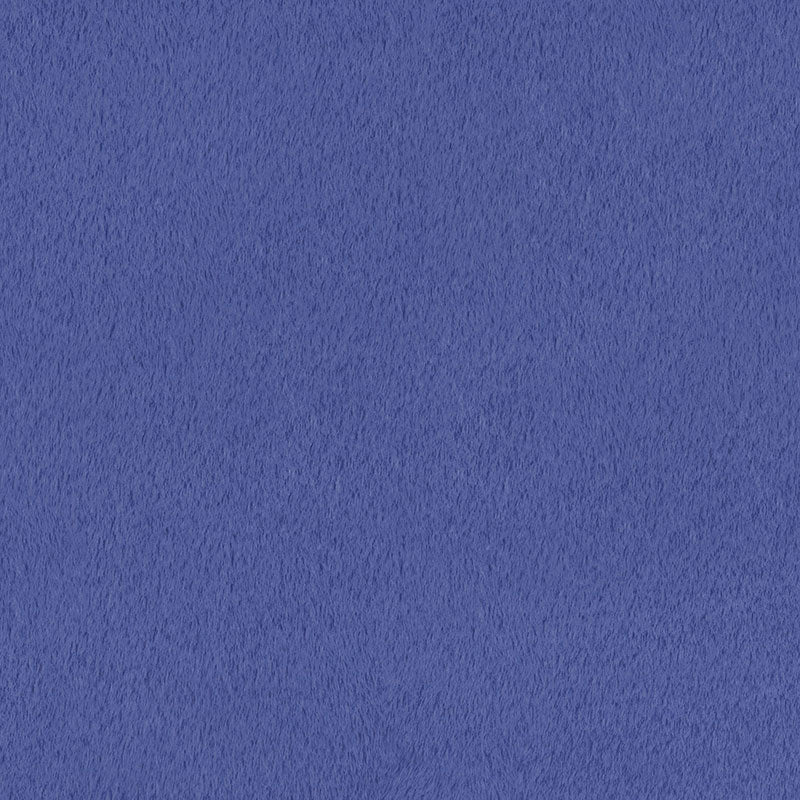 Shannon Fabrics Luxe Cuddle®Seal Bluefin