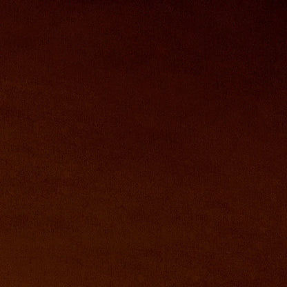 Extra Wide Solid Cuddle 3® Autumn - Shannon Fabrics