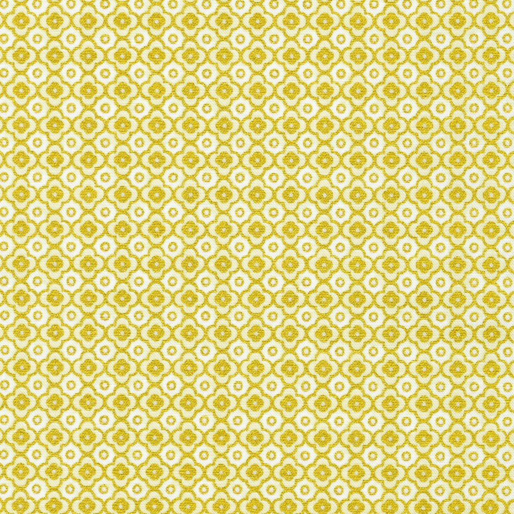 Cream by Parvaneh Holloway - Robert Kaufman