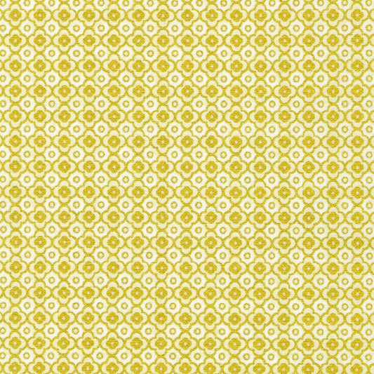 Cream by Parvaneh Holloway - Robert Kaufman