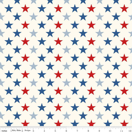 Freedom Garden Stars Multi - Riley Blake Designs