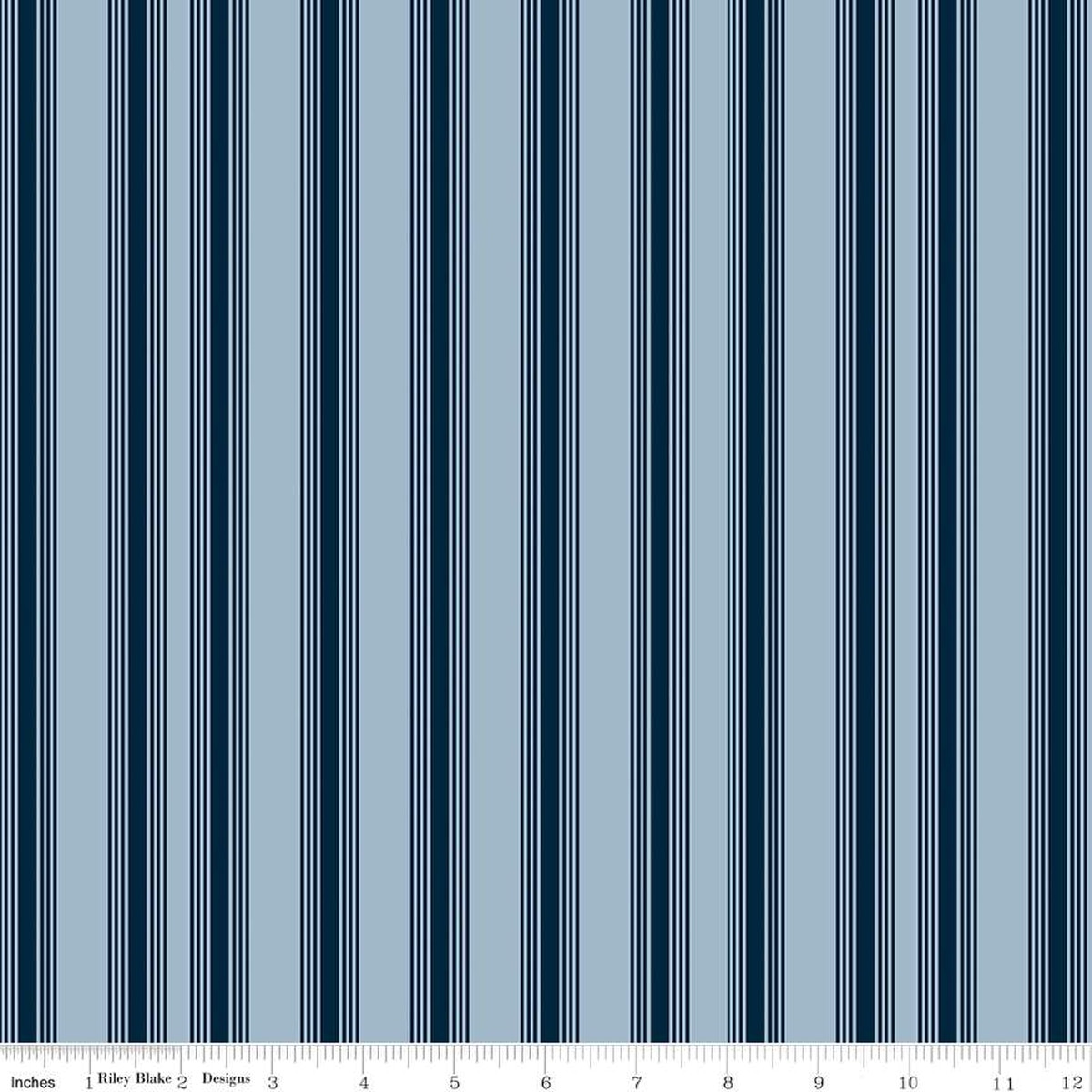 Freedom Garden Stripes Sky - Riley Blake Designs