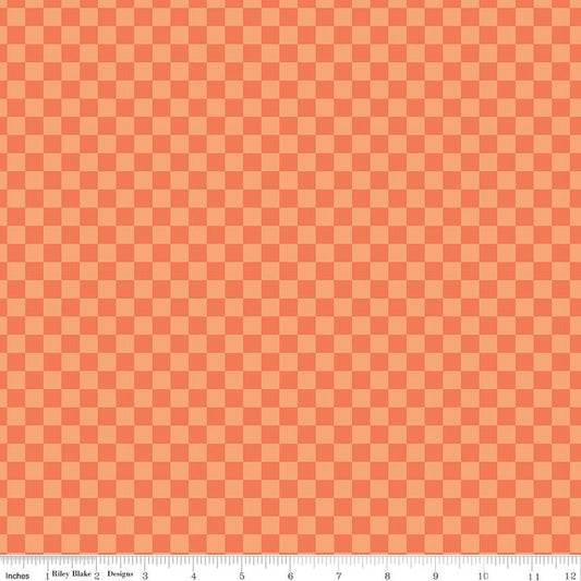 Hey Pumpkin Checks Orange - Riley Blake Designs
