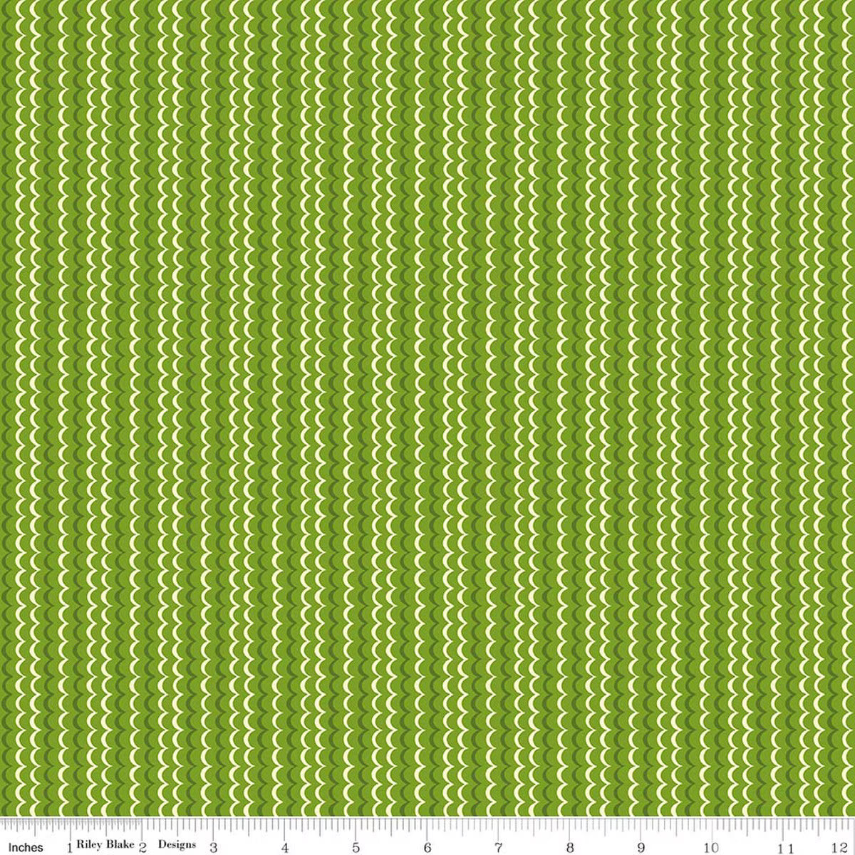 Awakening Scallops Kiwi - Riley Blake Designs