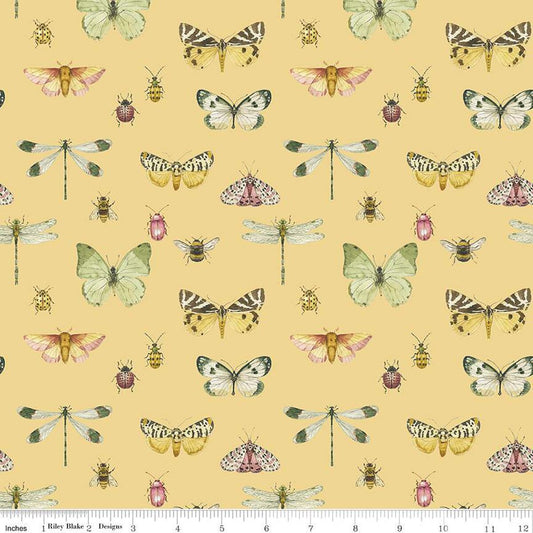 Love Me More Flutter Yellow - Riley Blake Designs