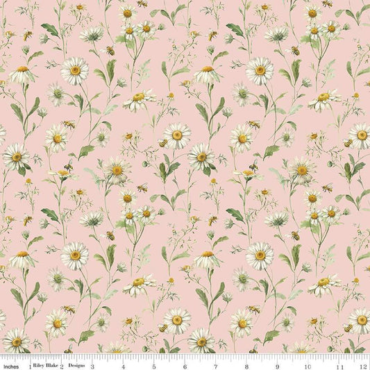 Love Me More Daisies Blush - Riley Blake Designs
