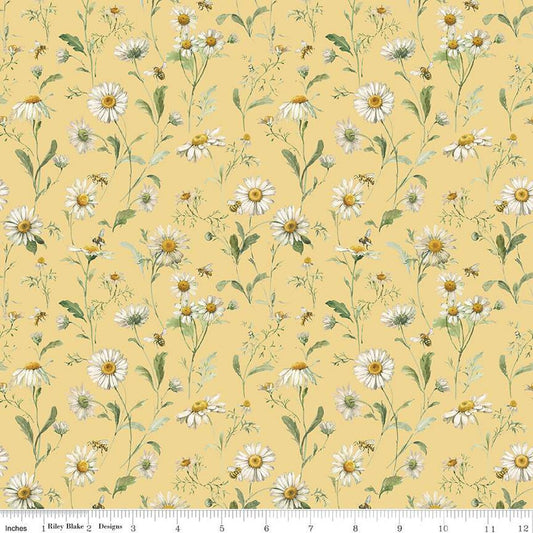 Love Me More Daisies Yellow - Riley Blake Designs
