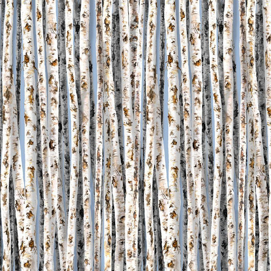 Birch Trees On Blue Sky - Timeless Treasures