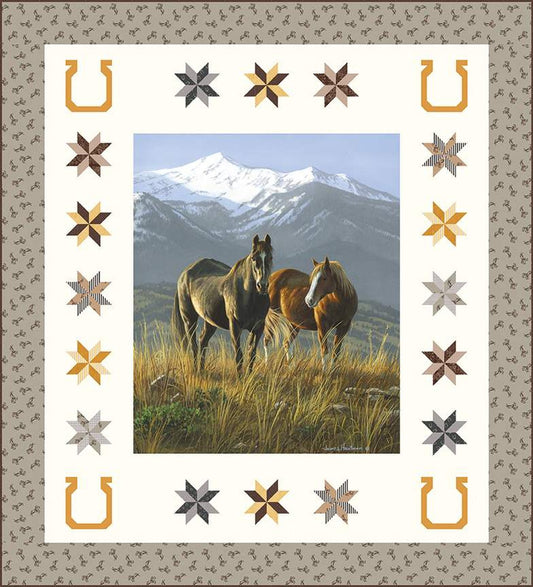 Smoky Valley Panel Quilt Boxed Kit - Riley Blake Designs