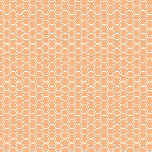 Orange Honeycomb - Kimberbell Basics / Maywood Studio
