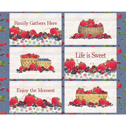 Monthly Placemats June Placemat Panel -Riley Blake Designs