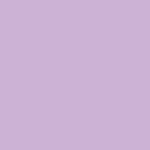 Day Dreamer 100% Premium Cotton - Art Gallery Fabrics