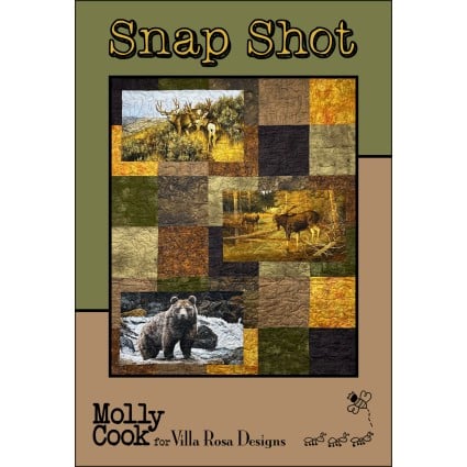 Snap Shot Quilt Pattern