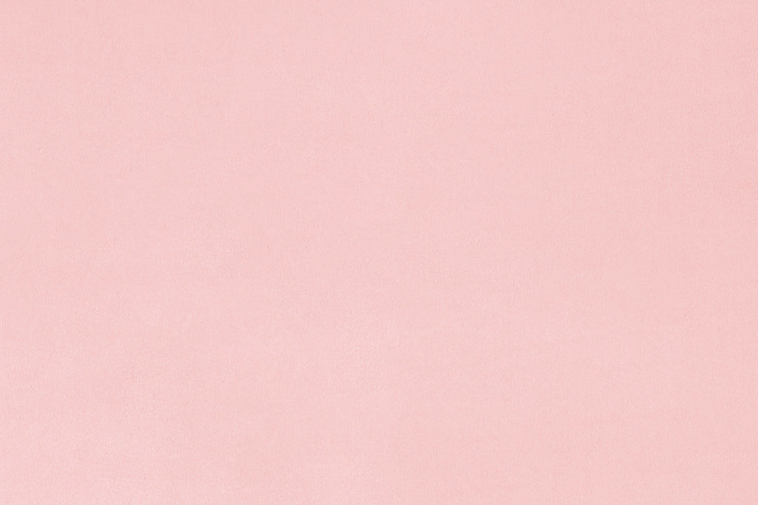 Extra Wide Solid Cuddle 3® Rosewater - Shannon Fabrics