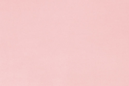 Extra Wide Solid Cuddle 3® Rosewater - Shannon Fabrics