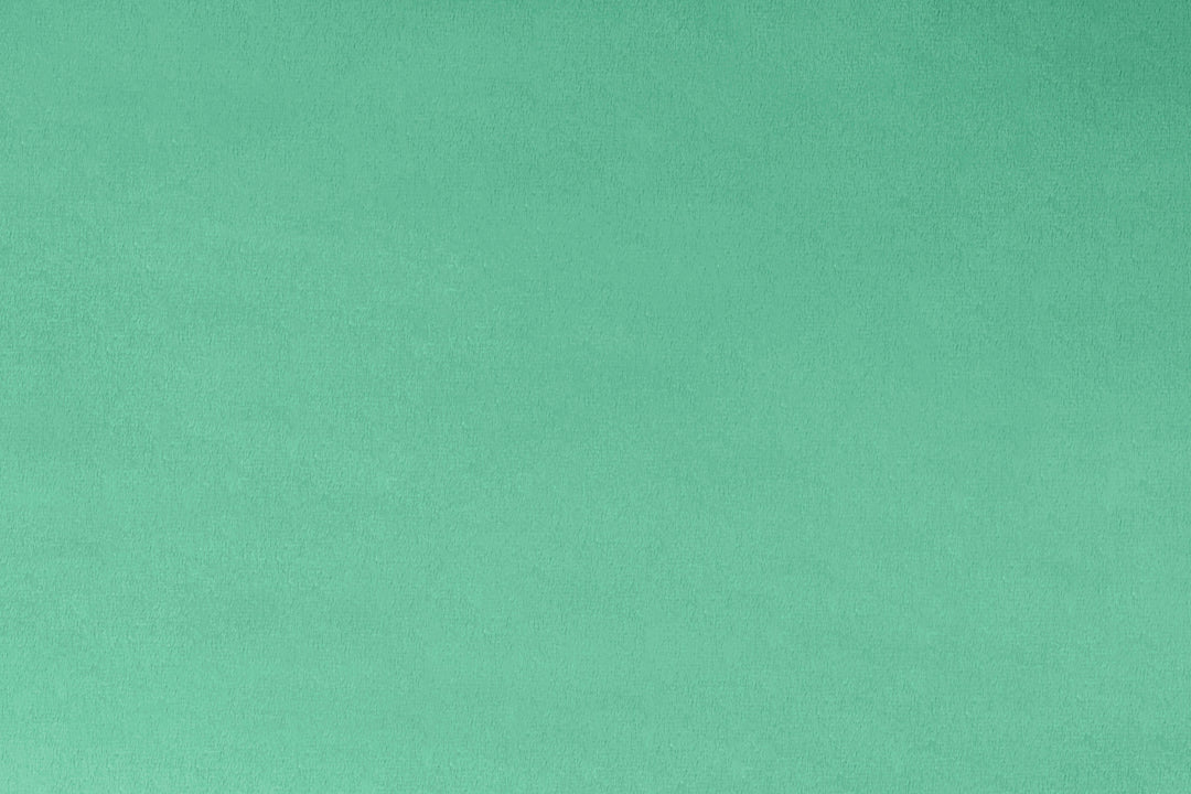 End of Bolt Extra Wide Solid Cuddle 3® Spearmint - Shannon Fabrics