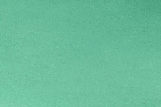 End of Bolt Extra Wide Solid Cuddle 3® Spearmint - Shannon Fabrics