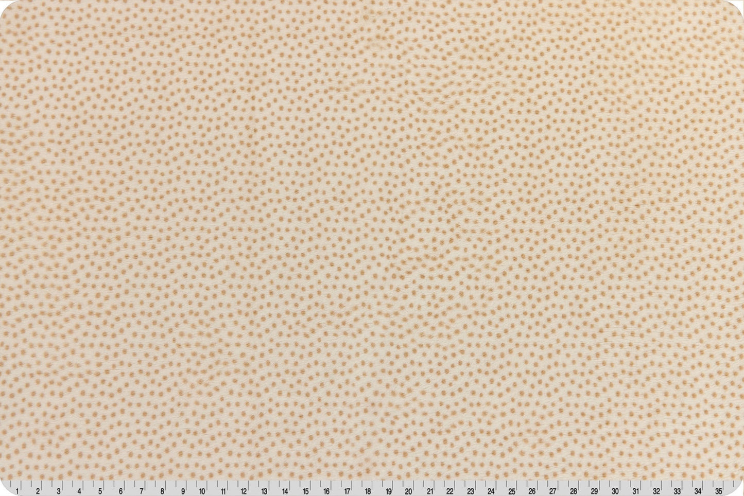 Extra Wide Dottie Cuddle® Sand - Shannon Fabrics