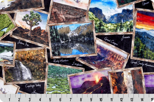 National Parks Digital Cuddle® Black - Shannon Fabrics