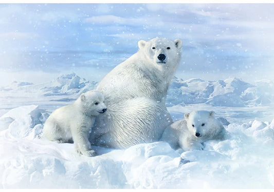 Call Of The Wild Arctic Polar Bear Cotton Hoffman Quilt Fabric