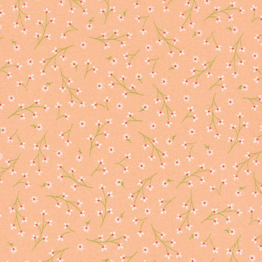 Pretty Petals Peach - Kimberbell Basics / Maywood Studio