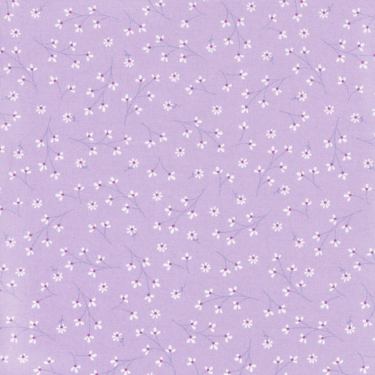 Pretty Petals Violet - Kimberbell Basics / Maywood Studio