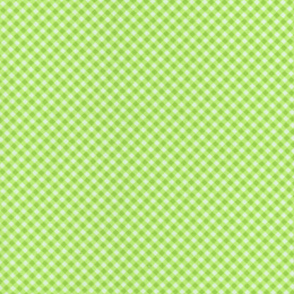 Playtime Flannel Bias Gingham - Maywood Studio